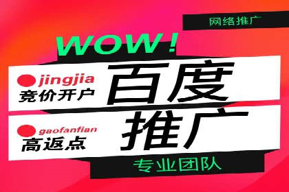 某公司SEM优化成功案例：从零到一的流量增长